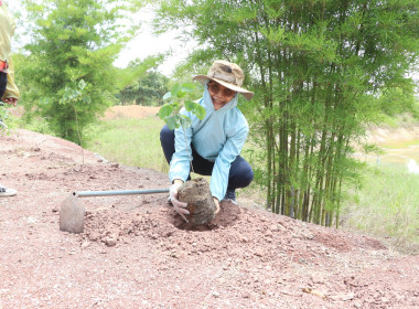 สหกรณ์จังหวัดบึงกาฬ พร้อมด้วยสหกรณ์การเกษตรเมืองบึงกาฬ ... พารามิเตอร์รูปภาพ 29